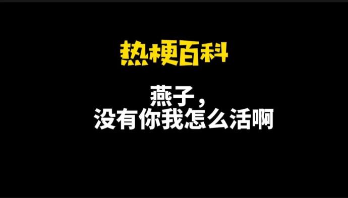 燕子是什么梗？（没有燕子我怎么活啊？）的图片 -第1张