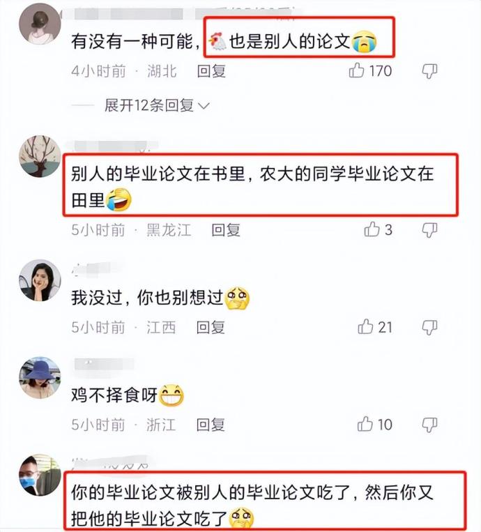 当农大学生的毕业论文被吃掉，畜牧专业：我养的鸡又是被谁所吃？的图片 -第3张