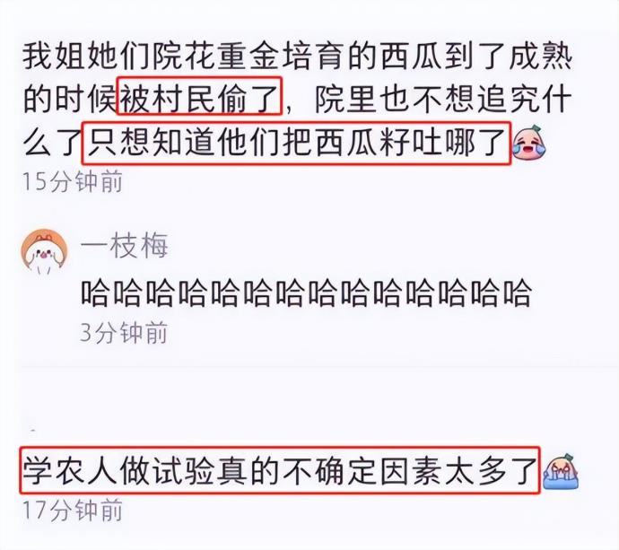 当农大学生的毕业论文被吃掉，畜牧专业：我养的鸡又是被谁所吃？的图片 -第4张